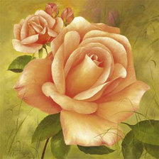 Схема вышивки «rózsa»