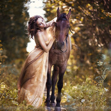 Схема вышивки «№238117»