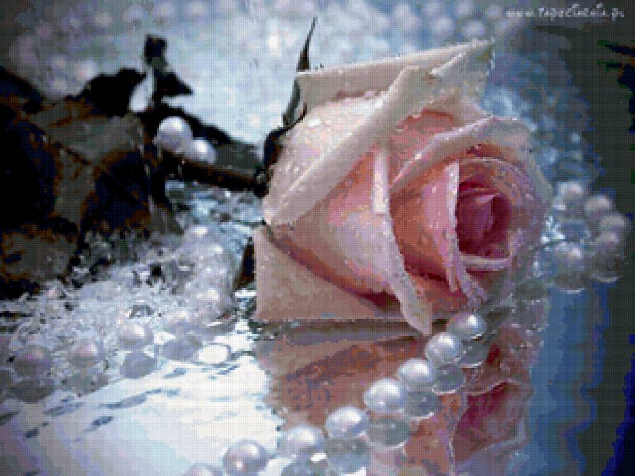 Отражение - цветы - предпросмотр