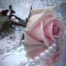 Схема вышивки «Отражение»