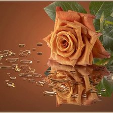 Схема вышивки «Отражение»