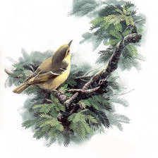 Схема вышивки «№238188»