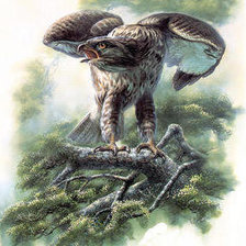 Схема вышивки «№238193»