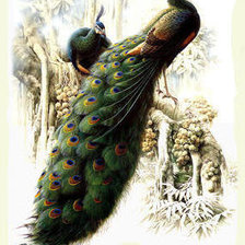 Схема вышивки «№238195»