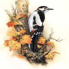 Схема вышивки «№238200»