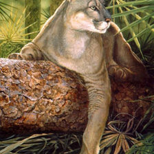 Схема вышивки «Пантера»