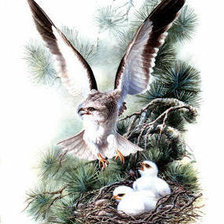 Схема вышивки «№238208»