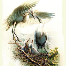 Схема вышивки «№238212»