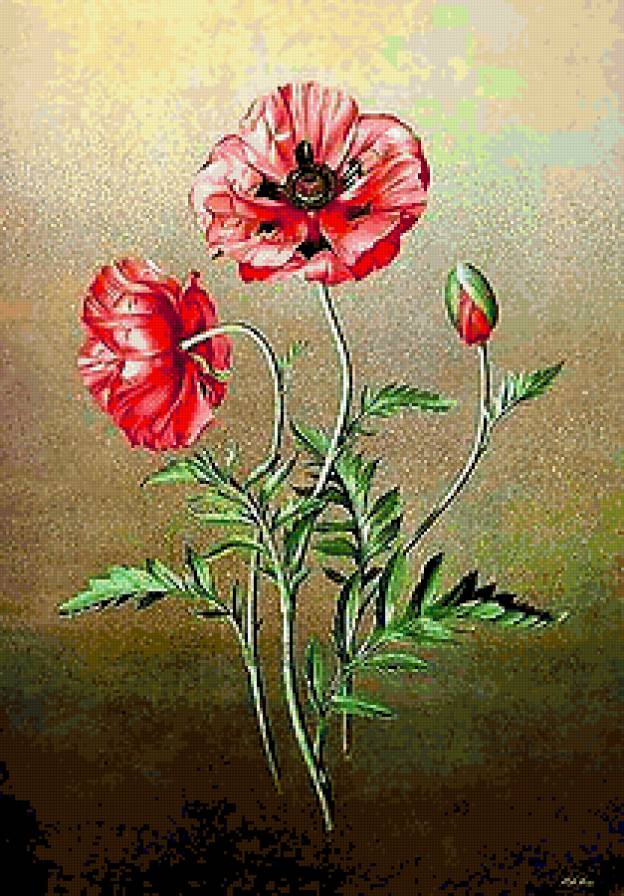 №238222 - предпросмотр