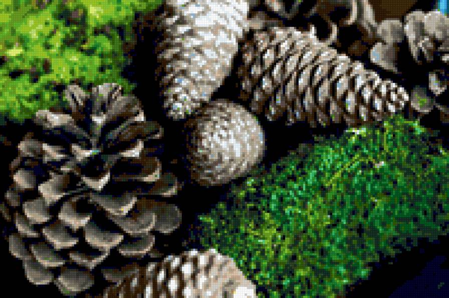 Шишки - трава, шишки, лес - предпросмотр