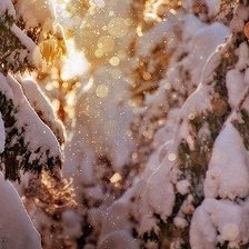 Схема вышивки «Сказочная зима»