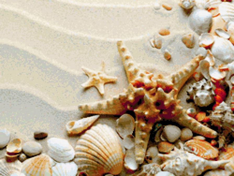 Морской пейзаж - море, пейзаж, ракушки - предпросмотр