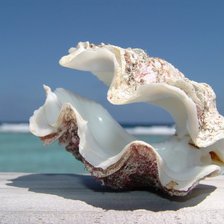 Схема вышивки «Морской пейзаж»