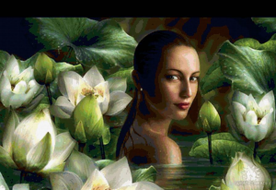 №238345 - предпросмотр