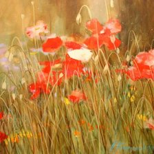 с белым цветком