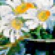 Предпросмотр схемы вышивки «Ромашки» (№238496)