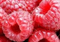 Схема вышивки «малинка»