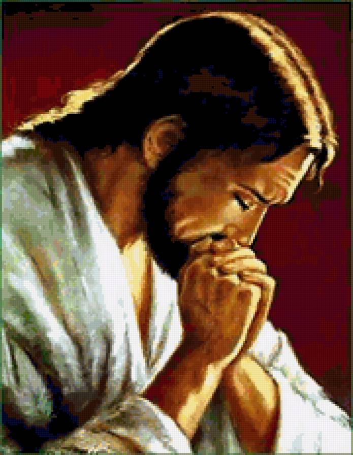 №238544 - предпросмотр