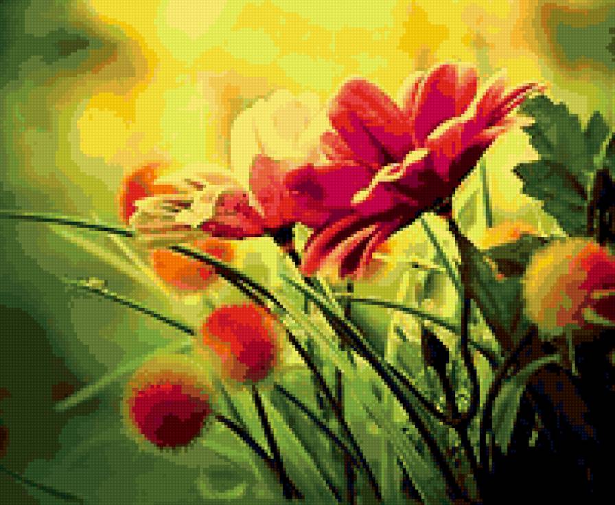 на восходе солнца - цветы природа - предпросмотр