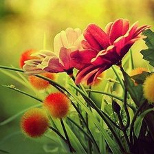 Схема вышивки «на восходе солнца»