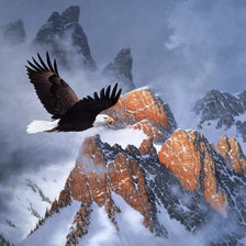 Схема вышивки «№238675»