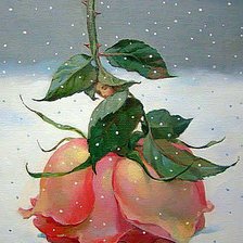 Схема вышивки «Роза на снегу»