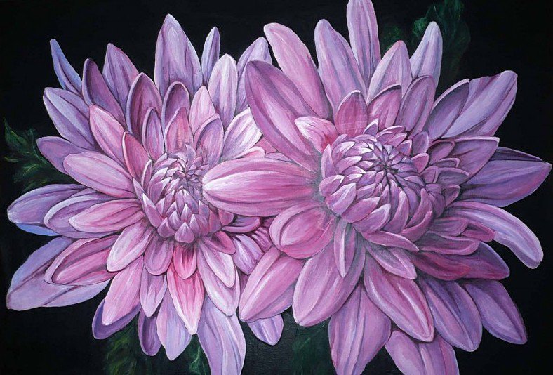 Хризантемы - хризантемы - оригинал