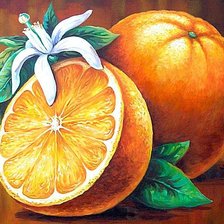 Схема вышивки «Апельсин»