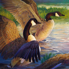 Схема вышивки «Vadmadarak»