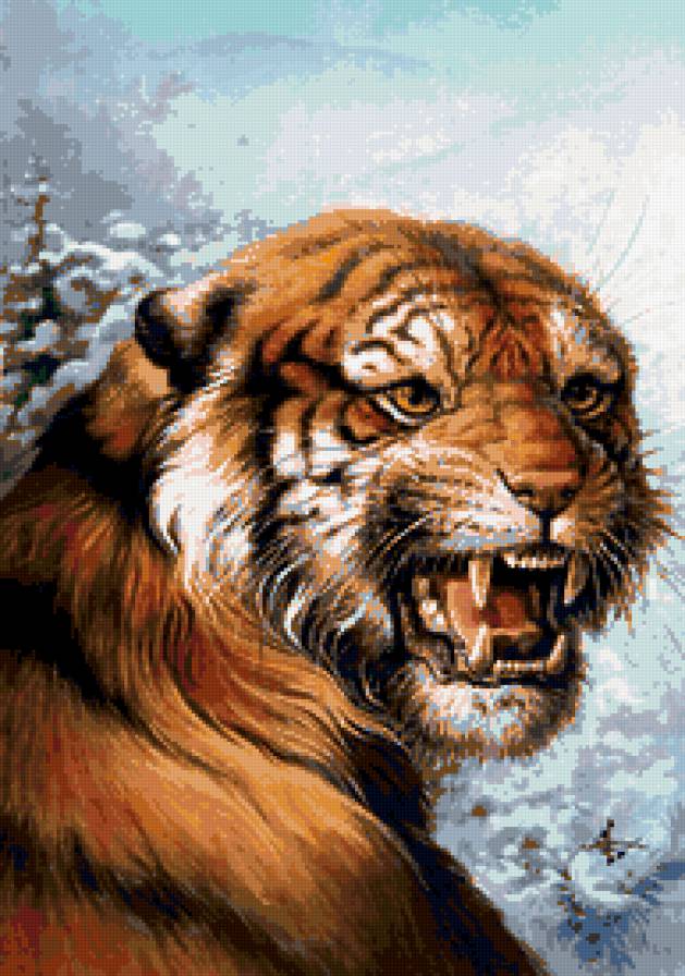 тигр - кошки, хищники, злость, животные, тигры - предпросмотр