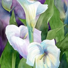 Схема вышивки «букет калл»