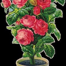 Цветочки в горшочке