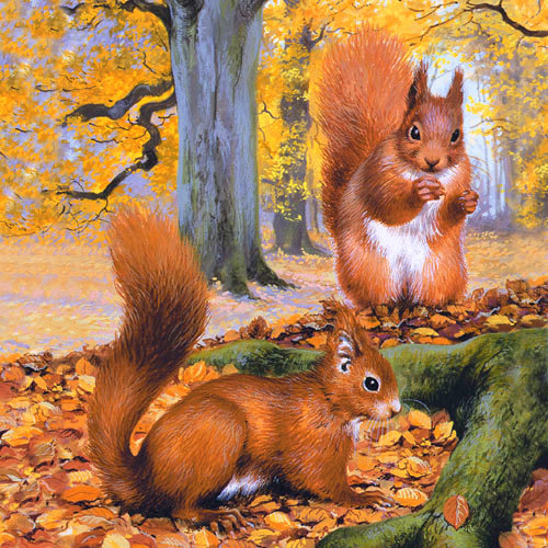 Белочки в осеннем парке - оригинал