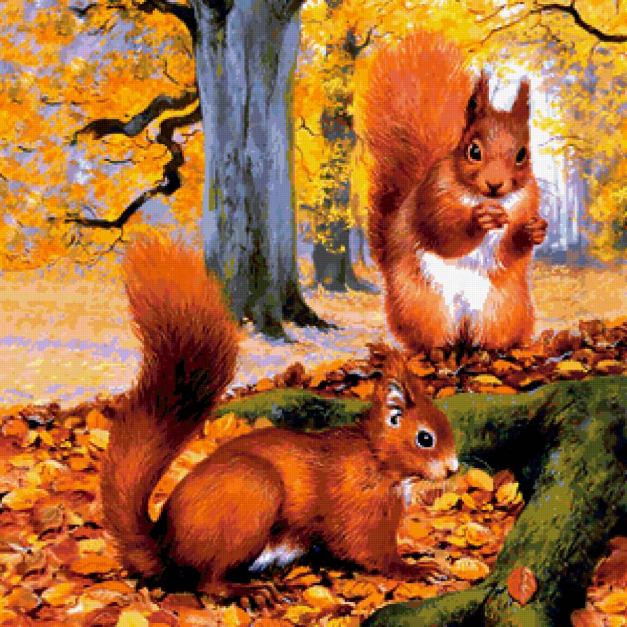Белочки в осеннем парке - предпросмотр