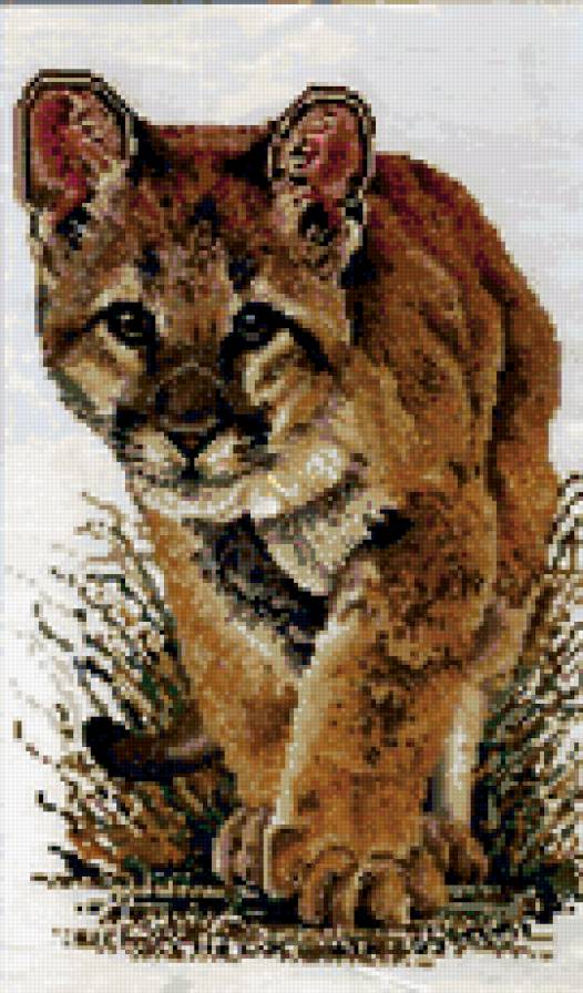 №238867 - предпросмотр