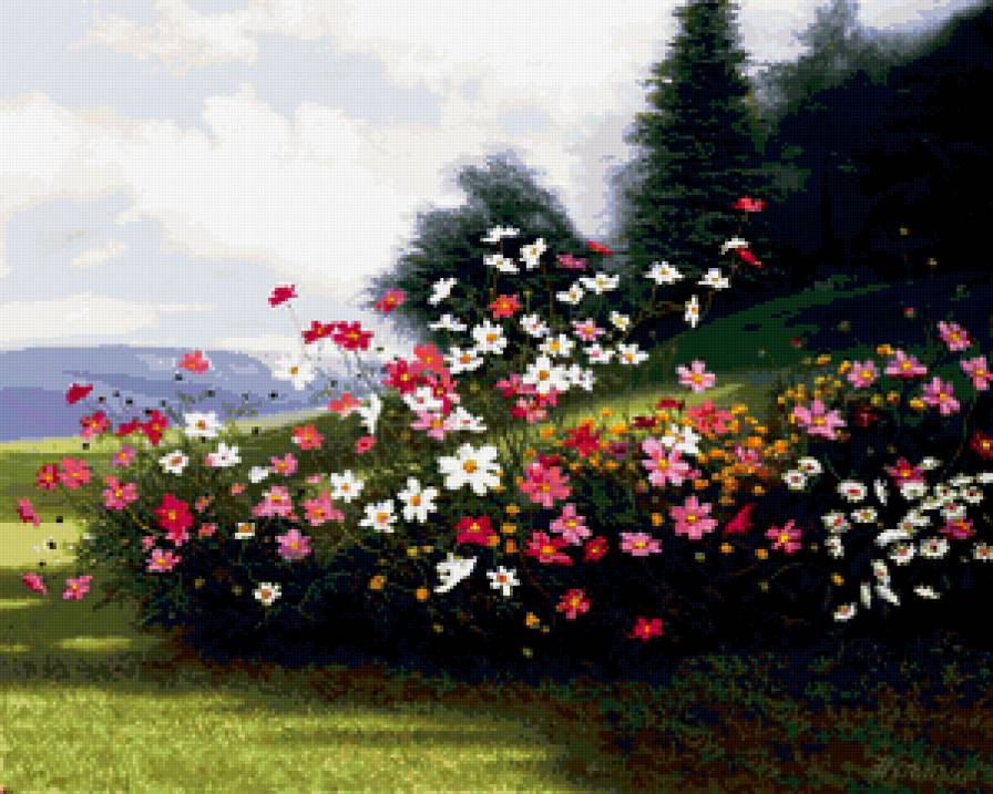 Цветы - предпросмотр