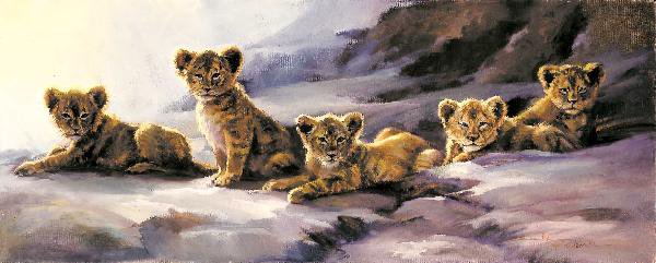 Маленькие львята - оригинал