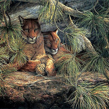 Схема вышивки «В тени дерева»