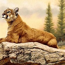 Схема вышивки «Отдых»