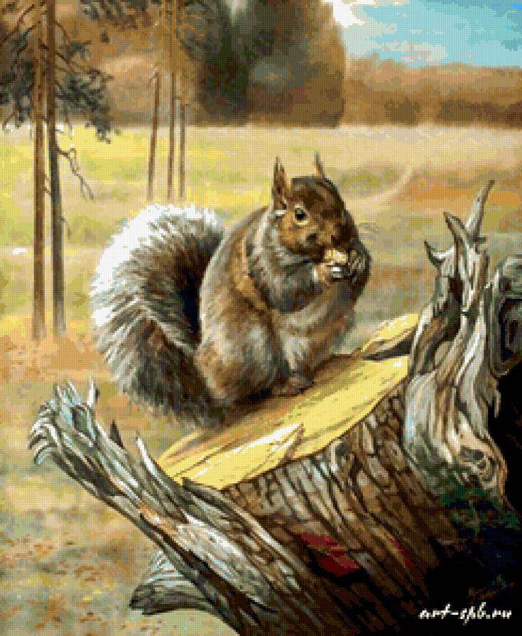 Белочка. - предпросмотр