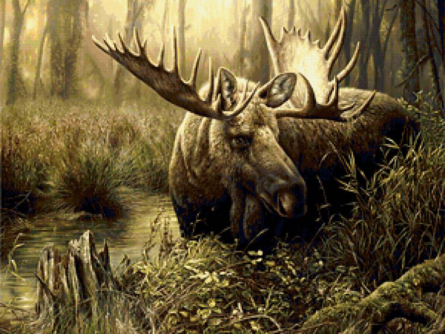 Лось - предпросмотр