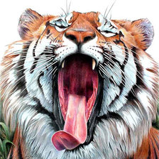 Схема вышивки «Тигр»