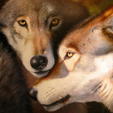 Схема вышивки «Волки»