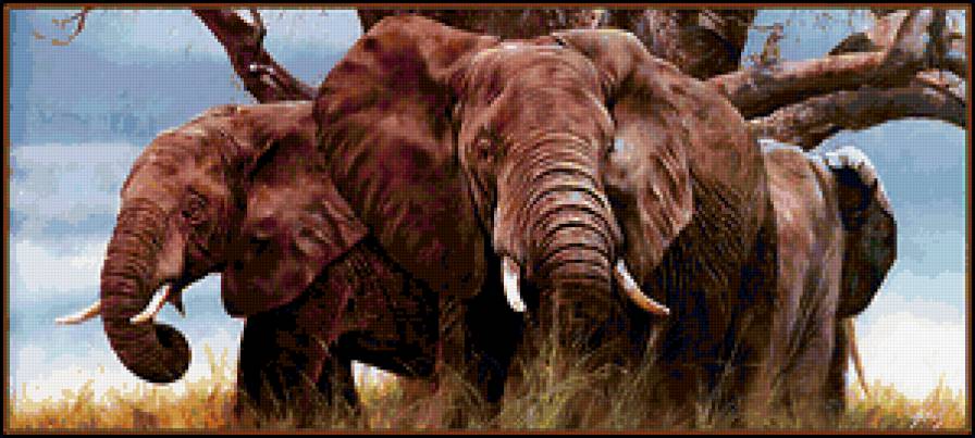Слоны - предпросмотр