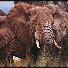 Схема вышивки «Слоны»