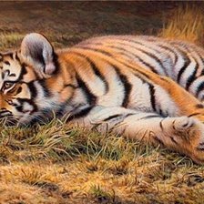 Схема вышивки «Тигр»