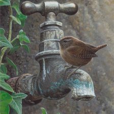 Схема вышивки «Чижик-пыжик»