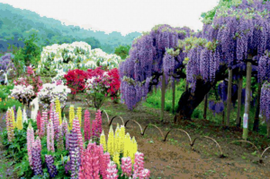 Цветущие сады Японии - предпросмотр
