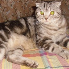 Схема вышивки «Савушка»