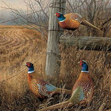 Схема вышивки «№239187»